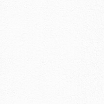 ホワイト  塗り壁調 トップコート  抗菌 表面強化 防かび  リリカラ LL-6549 旧品番LL-7663