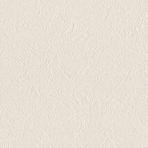 シャドーホワイト  塗り壁調   防かび 抗菌  リリカラ LL-6554 