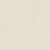 シャドーホワイト  塗り壁調 トップコート  抗菌 表面強化 防かび  リリカラ LL-6559 