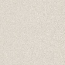 ライトグレー  塗り壁調 トップコート  抗菌 表面強化 防かび  リリカラ LL-6561 旧品番LL-7668