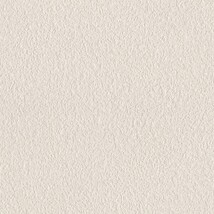 シャドーホワイト  塗り壁調 トップコート  抗菌 表面強化 防かび  リリカラ LL-6562 