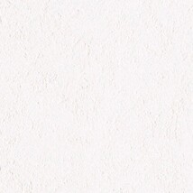 ホワイト  塗り壁調 トップコート  防かび  リリカラ LL-6569 旧品番LL-7698