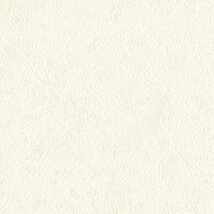 アイボリー  塗り壁調 トップコート  防かび  リリカラ LL-6577 旧品番LL-7688