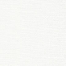 ホワイト  織物調 トップコート  抗菌 表面強化 防かび  リリカラ LL-6583 旧品番LL-7676