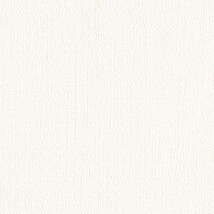 ホワイト  織物調 トップコート  防かび 抗菌  リリカラ LL-6590 旧品番LL-7739