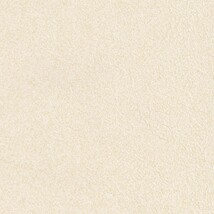 シャドーホワイト  塗り壁調   抗菌 表面強化 防かび  リリカラ LL-6614 