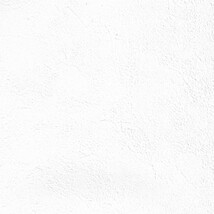 ホワイト  塗り壁調   抗菌 表面強化 防かび  リリカラ LL-6615 