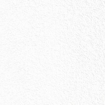 ホワイト  塗り壁調   抗菌 表面強化 防かび  リリカラ LL-6616 