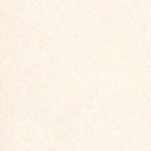 アイボリー  塗り壁調   汚れ防止 抗菌 表面強化 防かび  リリカラ LL-6678 旧品番LL-7941