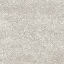 グレー  コンクリート・モルタル   汚れ防止 抗菌 表面強化 防かび  リリカラ LL-6684 