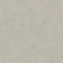 ライトグレー  コンクリート・モルタル   汚れ防止 抗菌 表面強化 防かび  リリカラ LL-6687 