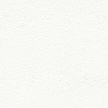 ホワイト  塗り壁調   汚れ防止 消臭 抗菌 防かび  リリカラ LL-6693 旧品番LL-7452