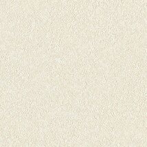 ライトアイボリー  塗り壁調   汚れ防止 消臭 抗菌 防かび  リリカラ LL-6707 