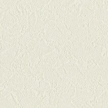 シャドーホワイト  塗り壁調   汚れ防止 消臭 抗菌 防かび  リリカラ LL-6716 