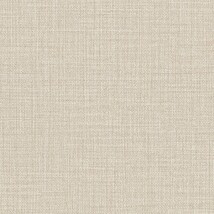 ベージュ  織物調   汚れ防止 消臭 抗菌 防かび  リリカラ LL-6725 