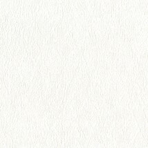 ホワイト  抽象デザイン   汚れ防止 消臭 抗菌 防かび  リリカラ LL-6744 旧品番LL-7480