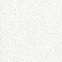 ホワイト  塗り壁調   汚れ防止 消臭 抗菌 防かび  リリカラ LL-6765 旧品番LL-7854