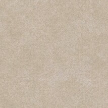 ライトブラウン  塗り壁調   汚れ防止 消臭 抗菌 防かび  リリカラ LL-6773 旧品番LL-7874