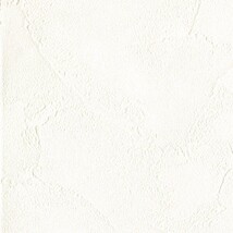 シャドーホワイト  塗り壁調   汚れ防止 消臭 抗菌 防かび  リリカラ LL-6778 旧品番LL-7856