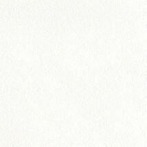 ホワイト  塗り壁調   消臭 抗菌 防かび  リリカラ LL-6815 旧品番LL-7518