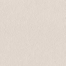 シャドーホワイト  塗り壁調   消臭 抗菌 防かび  リリカラ LL-6816 