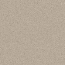 ライトブラウン  塗り壁調   消臭 抗菌 防かび  リリカラ LL-6823 