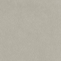 グレー  塗り壁調   消臭 抗菌 防かび  リリカラ LL-6824 旧品番LL-7521