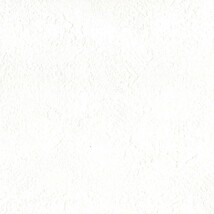 ホワイト  塗り壁調   消臭 抗菌 防かび  リリカラ LL-6825 旧品番LL-7524
