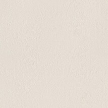 シャドーホワイト  塗り壁調   消臭 抗菌 防かび  リリカラ LL-6826 