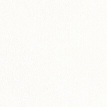 ホワイト  塗り壁調 トップコート  防かび 抗菌 表面強化 消臭  リリカラ LL-6843 旧品番LL-7791