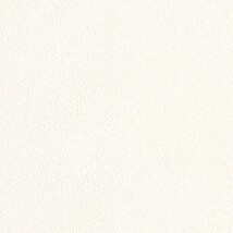 ライトアイボリー  塗り壁調 トップコート  防かび 抗菌 表面強化 消臭  リリカラ LL-6844 旧品番LL-7792