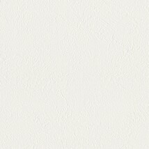 シャドーホワイト  塗り壁調 トップコート  防かび 抗菌 表面強化 消臭  リリカラ LL-6848 