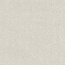 ライトグレー  塗り壁調   抗ウィルス 抗菌 防かび  リリカラ LL-6885 旧品番LL-7558