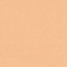 オレンジ  塗り壁調   抗ウィルス 抗菌 防かび  リリカラ LL-6886 旧品番LL-7560