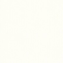 ホワイト  塗り壁調   抗ウィルス 抗菌 防かび  リリカラ LL-6892 旧品番LL-7953