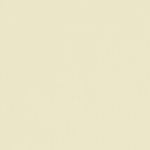 グリーン  塗り壁調   抗ウィルス 抗菌 防かび  リリカラ LL-6893 旧品番LL-7955