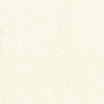 アイボリー  塗り壁調   通気性 透湿性 防かび  リリカラ LL-6895 