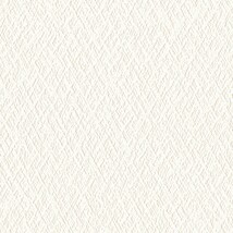 ライトアイボリー  塗り壁調   通気性 透湿性 防かび  リリカラ LL-6899 