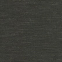 ブラック  織物調   防かび  リリカラ LL-7149