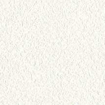 ホワイト  塗り壁調   消臭 通気性 透湿性 抗菌 防かび  リリカラ LL-7553