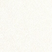 ホワイト  塗り壁調   通気性 透湿性 防かび  リリカラ LL-7570