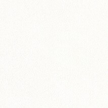ホワイト  塗り壁調 トップコート  防かび 抗菌 表面強化 消臭  リリカラ LL-7791