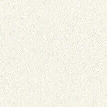 ホワイト  塗り壁調 トップコート  防かび 抗菌  リリカラ LLA-6049 