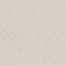 シャドーホワイト  塗り壁調 トップコート  防かび 抗菌  リリカラ LLA-6051 