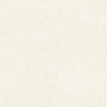 ホワイト  塗り壁調 トップコート  防かび 抗菌  リリカラ LLA-6053 