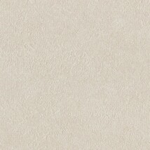 ライトグレー  塗り壁調 トップコート  防かび 抗菌  リリカラ LLA-6054 