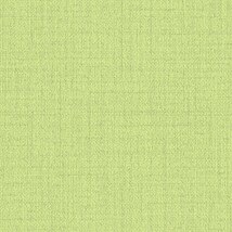 グリーン  織物調 トップコート  防かび  リリカラ LV2067 