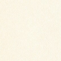 ライトアイボリー  塗り壁調   防かび  リリカラ LV2439 旧品番LV3404