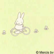 グリーン  キャラクター＆イラスト   防かび  リリカラ LV2463 旧品番LV3432