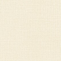 ベージュ  塗り壁調 クリーンコート  表面強化 防かび  リリカラ LV2520 旧品番LV3479